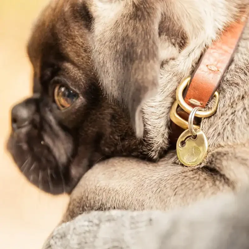 hundemarken_manufaktur_3