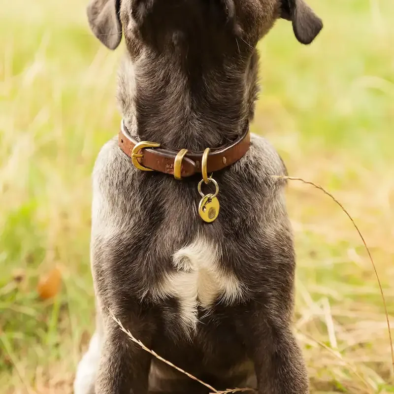 hundemarken_manufaktur_4